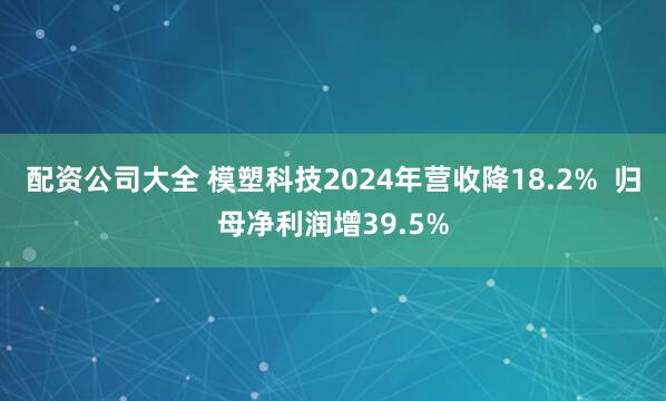 配资公司大全 模塑科技2024年营收降18.2%  归母净利润增39.5%