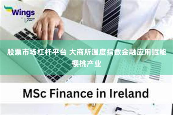 股票市场杠杆平台 大商所温度指数金融应用赋能樱桃产业