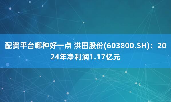 配资平台哪种好一点 洪田股份(603800.SH)：2024年净利润1.17亿元