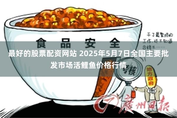 最好的股票配资网站 2025年5月7日全国主要批发市场活鲤鱼价格行情