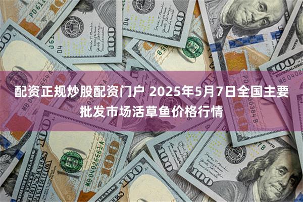 配资正规炒股配资门户 2025年5月7日全国主要批发市场活草鱼价格行情