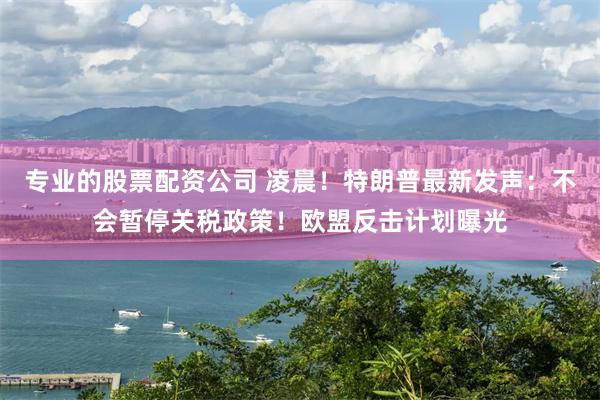 专业的股票配资公司 凌晨！特朗普最新发声：不会暂停关税政策！欧盟反击计划曝光