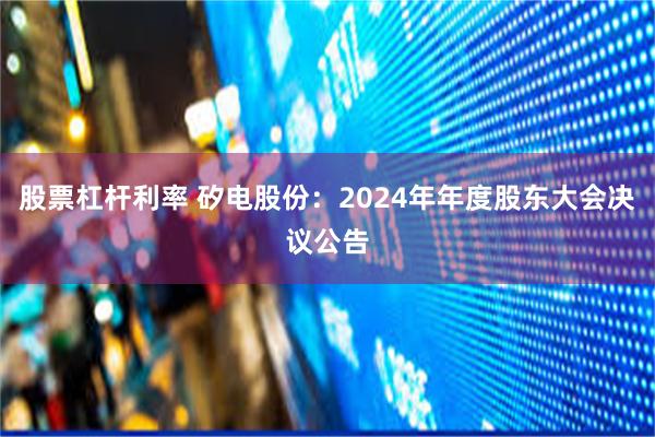 股票杠杆利率 矽电股份：2024年年度股东大会决议公告