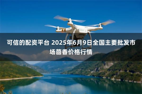 可信的配资平台 2025年6月9日全国主要批发市场茴香价格行情