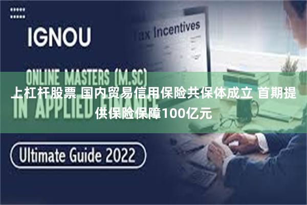 上杠杆股票 国内贸易信用保险共保体成立 首期提供保险保障100亿元