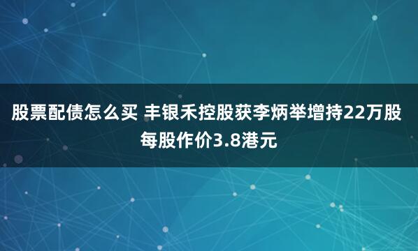 股票配债怎么买 丰银禾控股获李炳举增持22万股 每股作价3.8港元